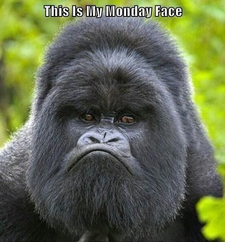 backuprunning's tweet image. It&apos;s me but not just on Monday&apos;s #everymorning