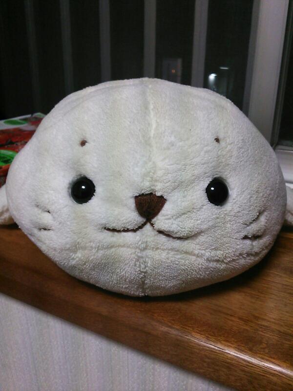 tlcdaikou's tweet photo. おはようございます(￣ー￣)沖縄は雨が降っているます…((o(￣ー￣)o)) http://t.co/w2Jm6TdcFJ
