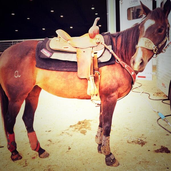 amberrrom's tweet photo. 4th place in barrels yesterday and 3rd today ! I'll take that for not practicing this week! #rodeo http://t.co/YEc3fTNMZo
