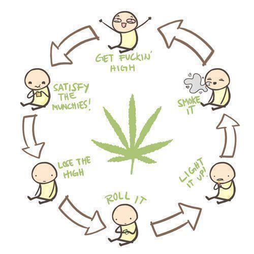 The circle of life