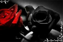 gmail138's tweet image. 