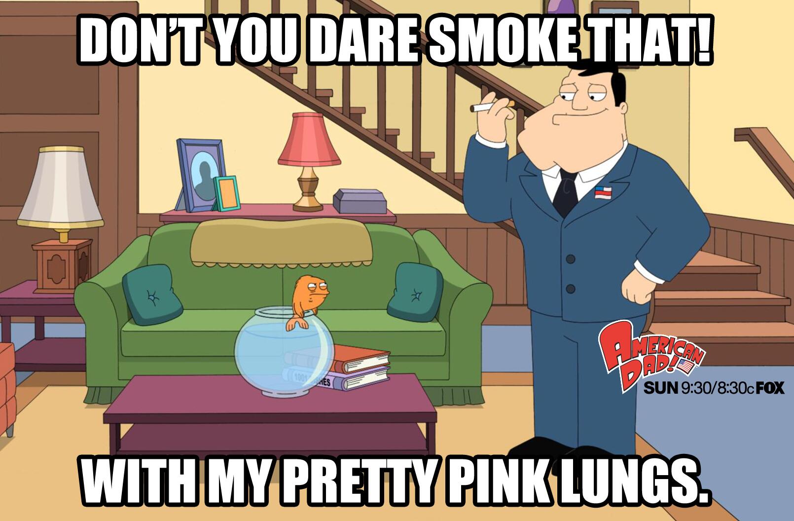 Funny American Dad Memes 