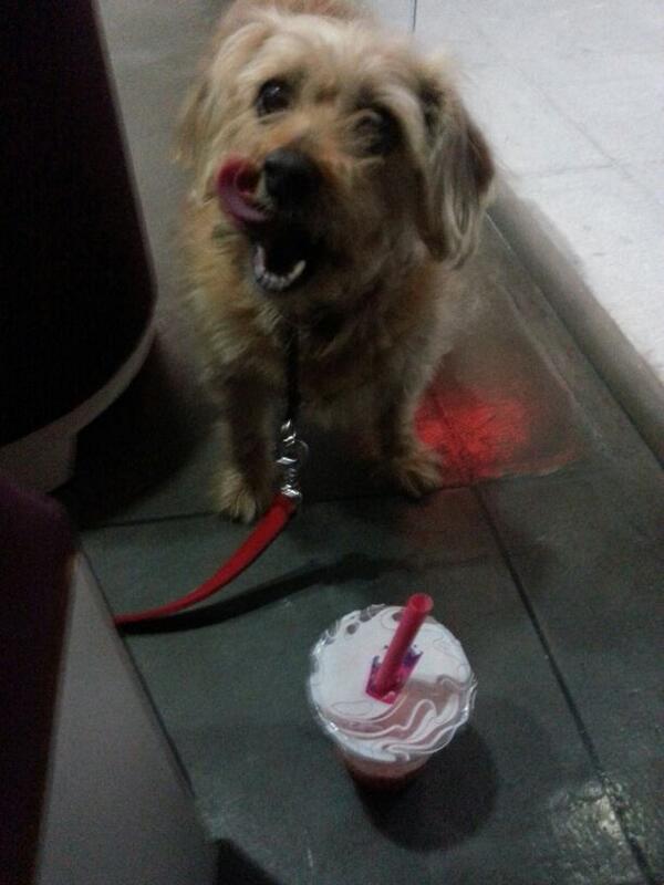 .<a href="/juicebangbang/">Juicebangbang</a> Juice happy customer