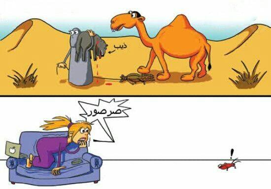 ahmedalmansori's tweet photo. من باب الفكاهة فقط : المرأة قديما و المرأة حديثا | #غرد_بصورة  | http://t.co/60XWt69jWy