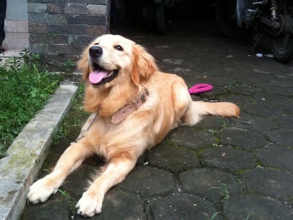 MissBiutt tweet picture