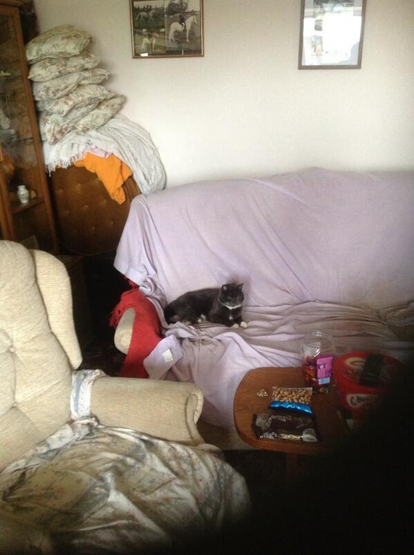 ajurch's tweet image. 