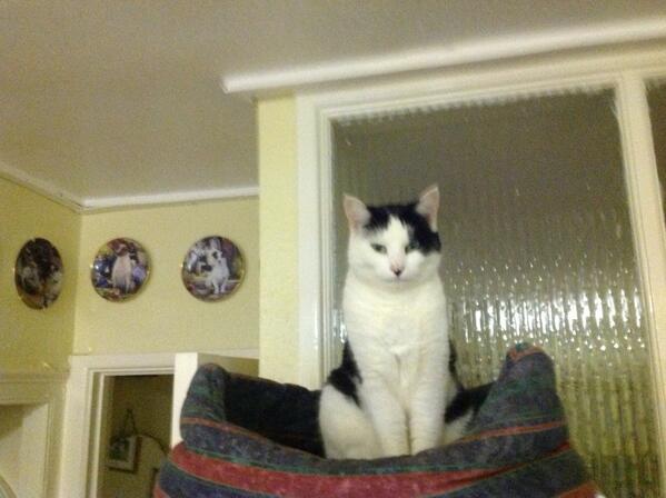 ajurch's tweet image. 