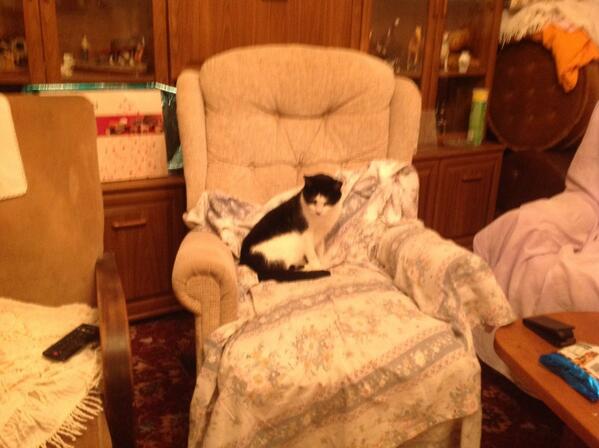 ajurch's tweet image. 