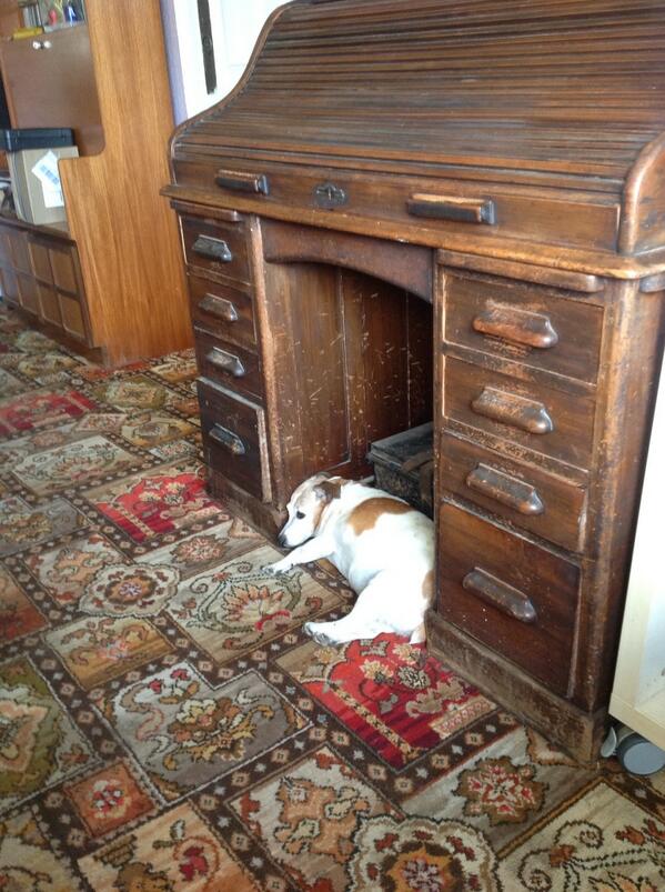 ajurch's tweet image. 