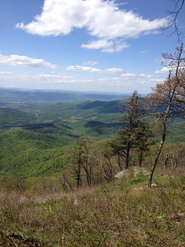 scottanders7's tweet image. 