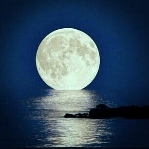 رابط دائم للصورة المُضمّنة