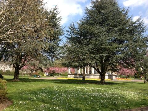 CardiffArabSoc's tweet photo. Cardiff uni so pretty! #cardiffuni #spring http://t.co/ueOeDwtvhR