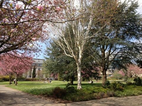 CardiffArabSoc's tweet photo. #cardiffuni http://t.co/owINs38sKV