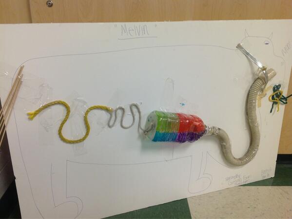 mcdermott_tim's tweet photo. Intro to Ag Animal Science Unit 3-D digestive models of ruminant animal.  #WHSAG http://t.co/v1dueftsKn