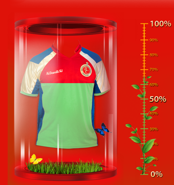 rcb jersey 2013