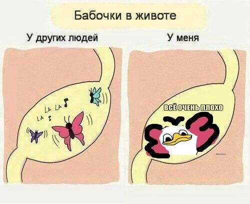 бабочки в животе цитаты. почему бабочки в животе. текст песни знаешь почему.