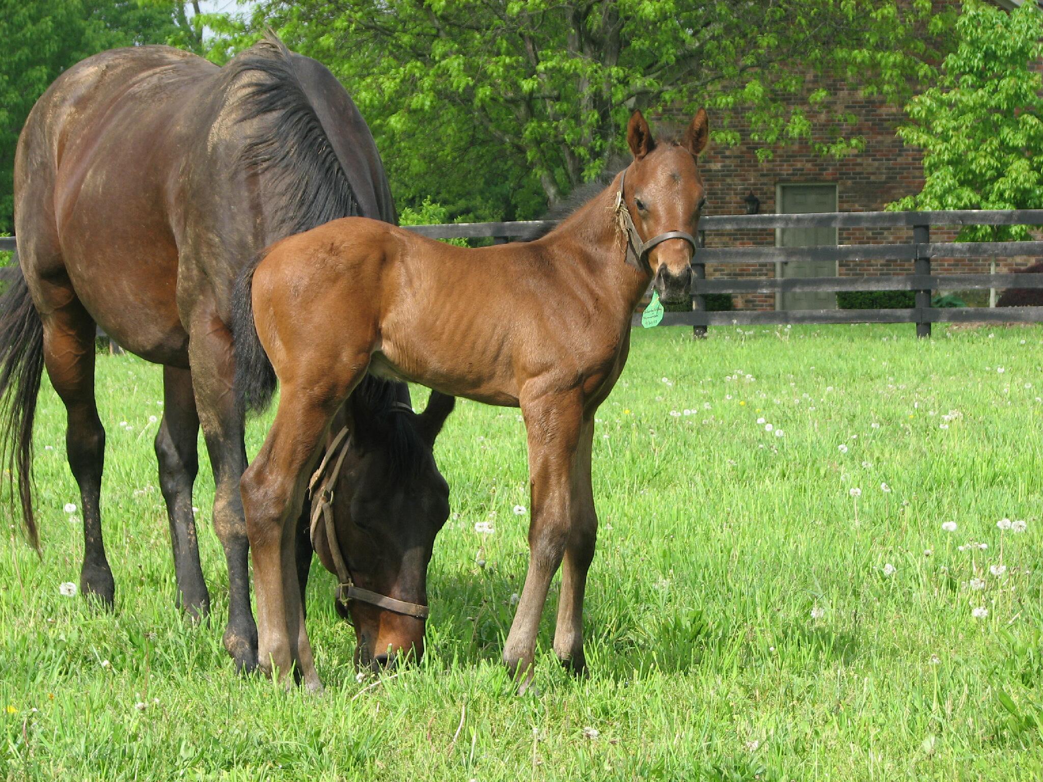 BKLCUyjCMAA_NC9.jpg:large