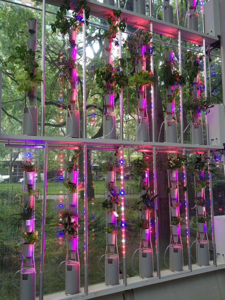 The Lone Bunny on Twitter: 