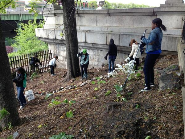 Han_Perr's tweet photo. #Volunteers working in Jenny's Garden in #riversidepark! @newyorkcares and yes, she is using the rake as a mic! http://t.co/qZgOZHxd3r
