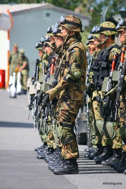 豪華 陸上自衛隊 迷彩服 1A 迷彩服1型 熊笹迷彩 ズボン 官給品