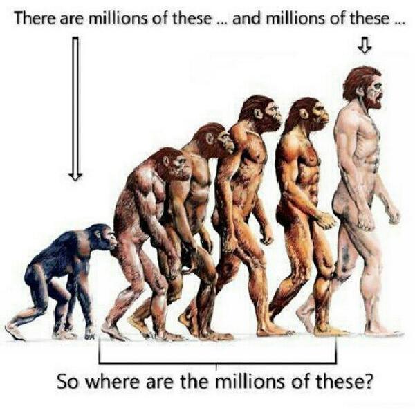 LukeQuince_'s tweet image. Here's one for you ... #unanswerable