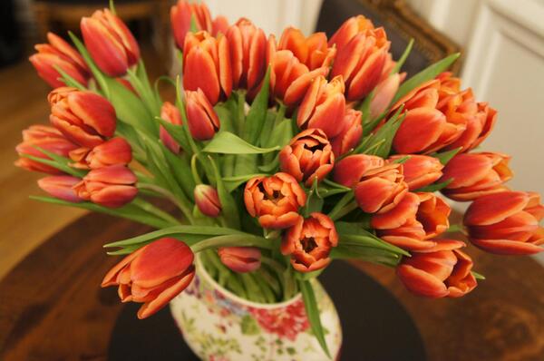 pickupflowers's tweet photo. A bouquet of vibrant orange tulips to refresh and rejuvenize the recipient.

Send to USA at http://t.co/6359cEnfNE http://t.co/I5EyY0qIvD
