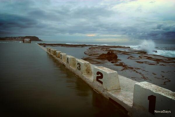 Nova Days tweet media