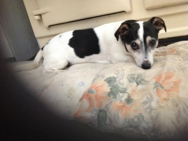 ajurch's tweet image. 