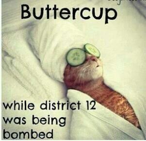 shraderp's tweet image. Oh Buttercup