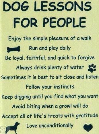 Rustylinda's tweet photo. Dog lessons for people http://t.co/OvnKe25kha