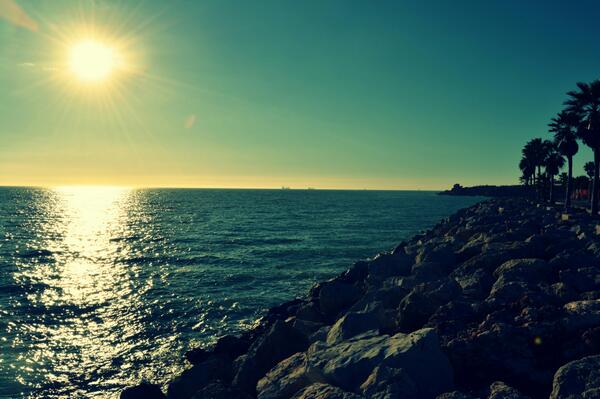 Me encanta hechar fotos y el fruto es este