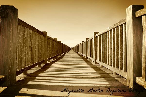 Toruños dondo una vuelta por el puente