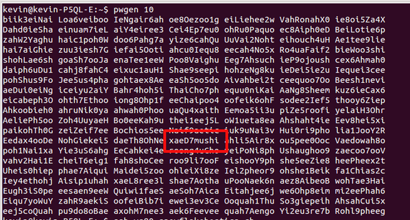 kaefeli's tweet image. Ob die Passwörter die mein PC generiert kundentauglich sind? #pwgen