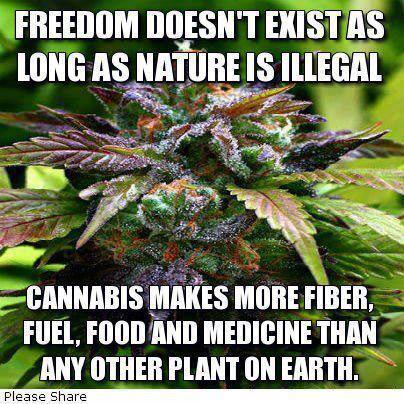 weGrowStore's tweet image. 