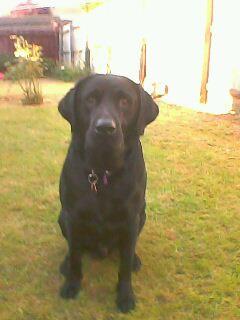 Robert Hitchins (@roberthitchins) on Twitter photo 