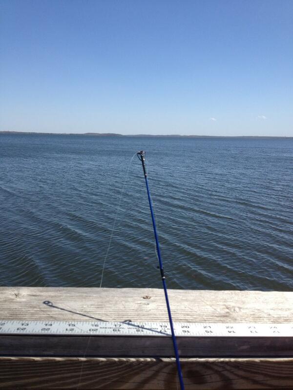 CallMehMichaela's tweet image. #fishing #beautiful #needsbeer