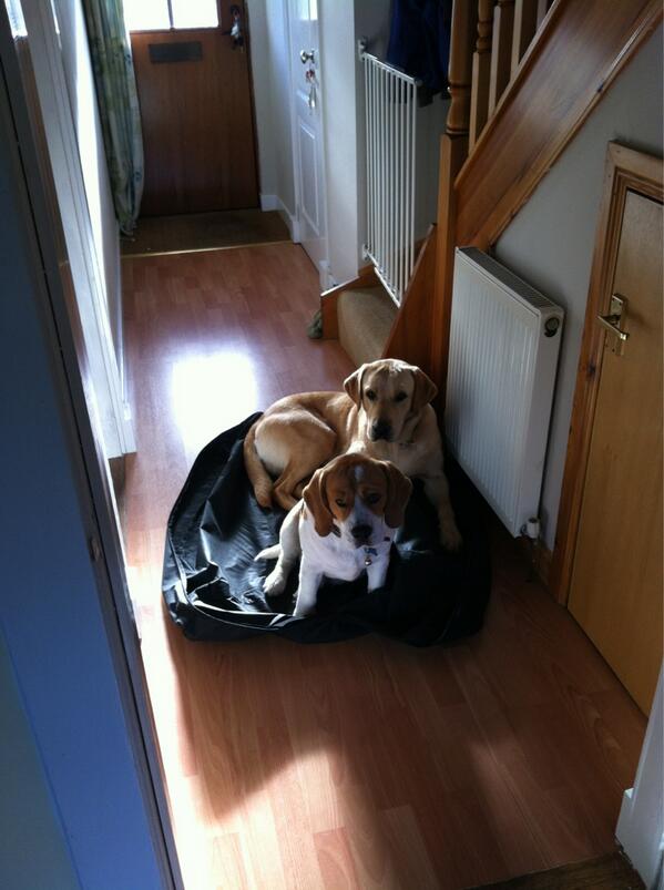 Ur not leaving without us