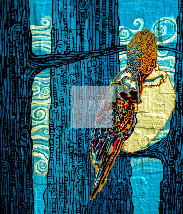 Dawn Pogany tweet media