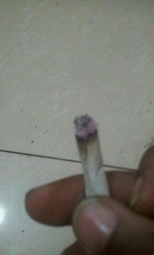 aloisel1111 tweet picture