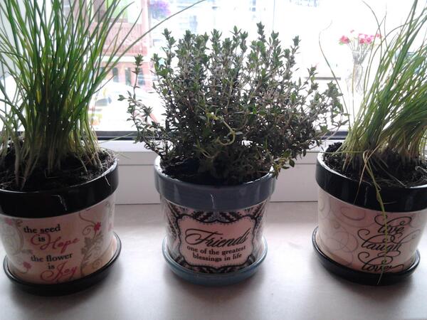 Elke On Twitter Moederdag Cadeautje En Dankjewel At Aveve Roeselare