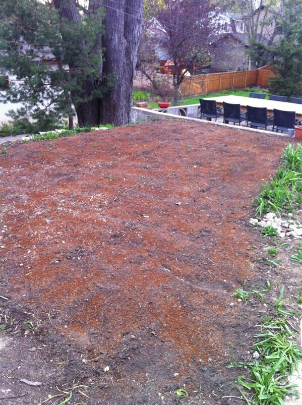 ryanliestman's tweet photo. After... http://t.co/VPnuWACutG
