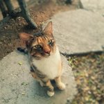Photo by Travelwithtoniann (@Toniannmac)
