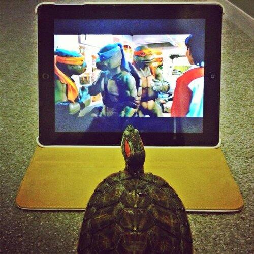 nicoprat's tweet photo. Pas certain qu'elle comprenne http://t.co/3hvrdH0YSk