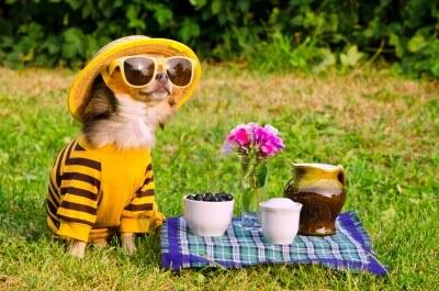 FarmersMarketSS's tweet photo. It's a beautiful day to dine al fresco, don't you think? http://t.co/024yUNdwY0
