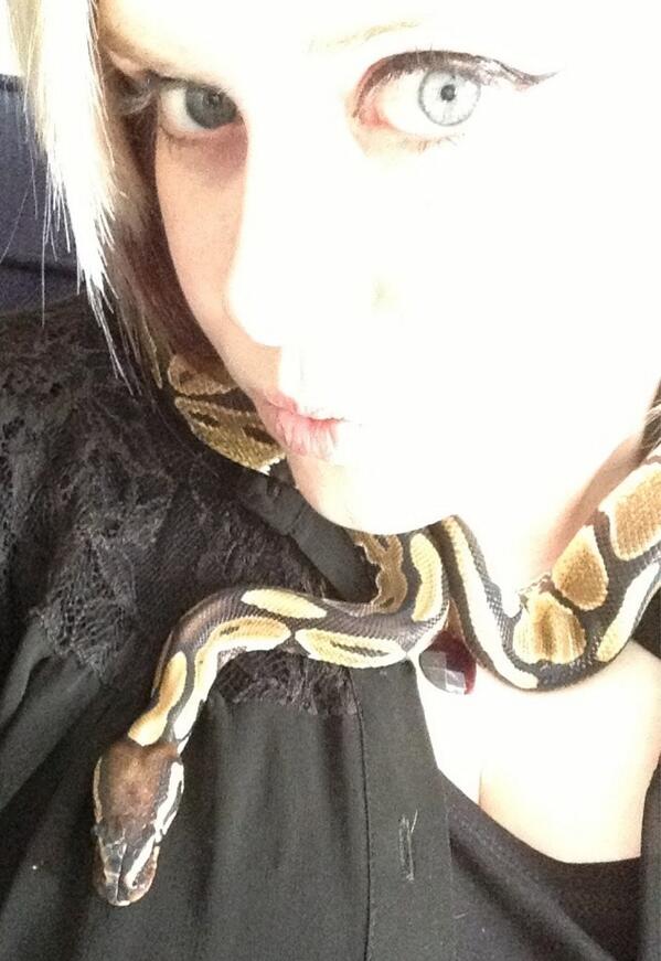 elastigirl666's tweet image. Love my chub chub!! #pythonlove