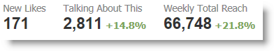 Facebook Insights 