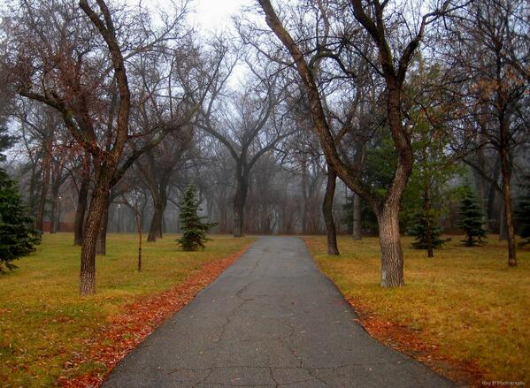 ReginaPictures's tweet image. #WascanaPark is an urban masterpiece! #YQR #Regina #Saskatchewan #photography