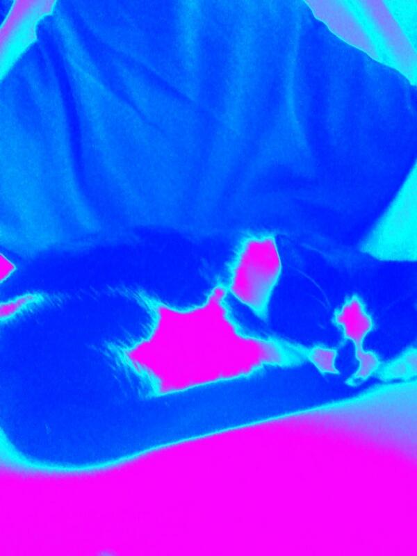 dizzyizzy2001's tweet image. 