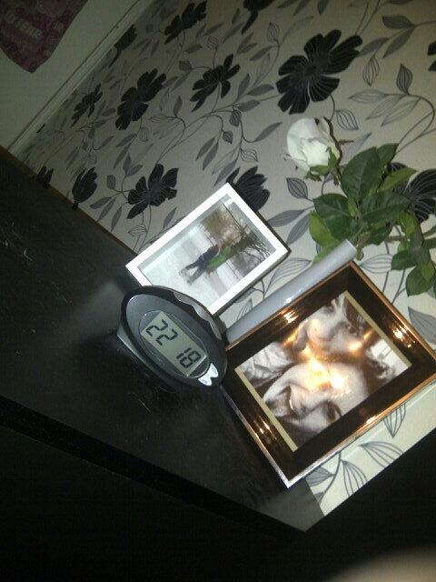 chelshudson_ tweet picture