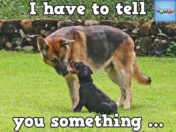 jeffwrodgers's tweet photo. Play Bingo with Friends! #ilovebingo #BingoRun http://t.co/Izlhdk4vnR http://t.co/nSaDIJxLU8